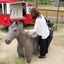こっこのサムネイル