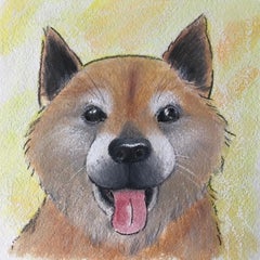 バラミヨのプロフィール