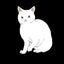 manekoのサムネイル