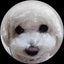 comuginのサムネイル