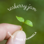 rasberry jamのサムネイル