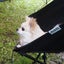 みんみんのサムネイル