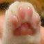 gooのサムネイル