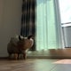 ケラオ(34)のおすすめのサムネイル