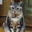 まーななのサムネイル