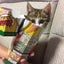 NAEKO SANGUのサムネイル