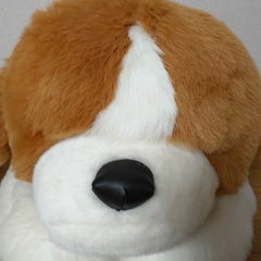 でんすけのプロフィール