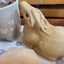 l'Etoile Bleueのサムネイル