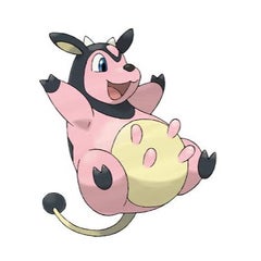 ぽんちゃんのプロフィール