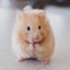 kromyuのサムネイル