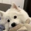 Aoriyaのサムネイル