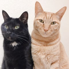 mikiのプロフィール