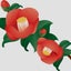 画像 古代の赤椿のブログのユーザープロフィール画像