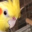 たかのカヤック日記のサムネイル