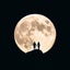 画像 タロット占術師　皆月小夜子のユーザープロフィール画像