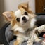 Azusaのサムネイル