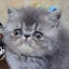 uruuru01100121のサムネイル
