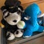 san3のサムネイル