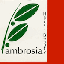 画像 ambrosiaのブログのユーザープロフィール画像