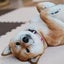 さりのサムネイル