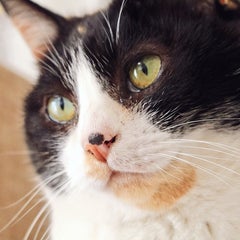 ねむるのプロフィール