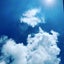箒星（ほうきぼし）の惰性な日常のサムネイル