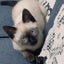 yukko-20210812のサムネイル