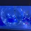 Yukinonのサムネイル