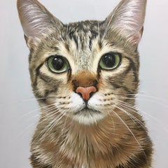 もじこのプロフィール