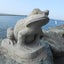 はなのサムネイル