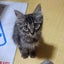 若いおっちゃんのサムネイル