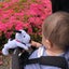 まろまろのサムネイル