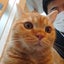 みそLOVE　　のサムネイル