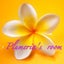 Plumeria🌸のサムネイル