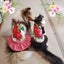 gracevivianmamaのサムネイル