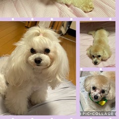 Ruby…momのプロフィール