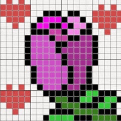 メイフラワーのプロフィール