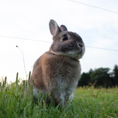 ひろみのプロフィール