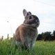 ひろみのおすすめのサムネイル