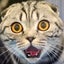aratameteluのサムネイル