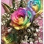 画像 rainbowrose♡sana 〜心と身体を癒して虹色の花を咲かせよう〜のユーザープロフィール画像
