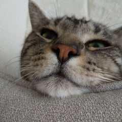 yukiのプロフィール