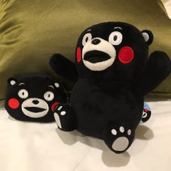 くまこのプロフィール