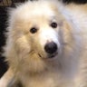 まりあのプロフィール