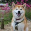 リックのサムネイル