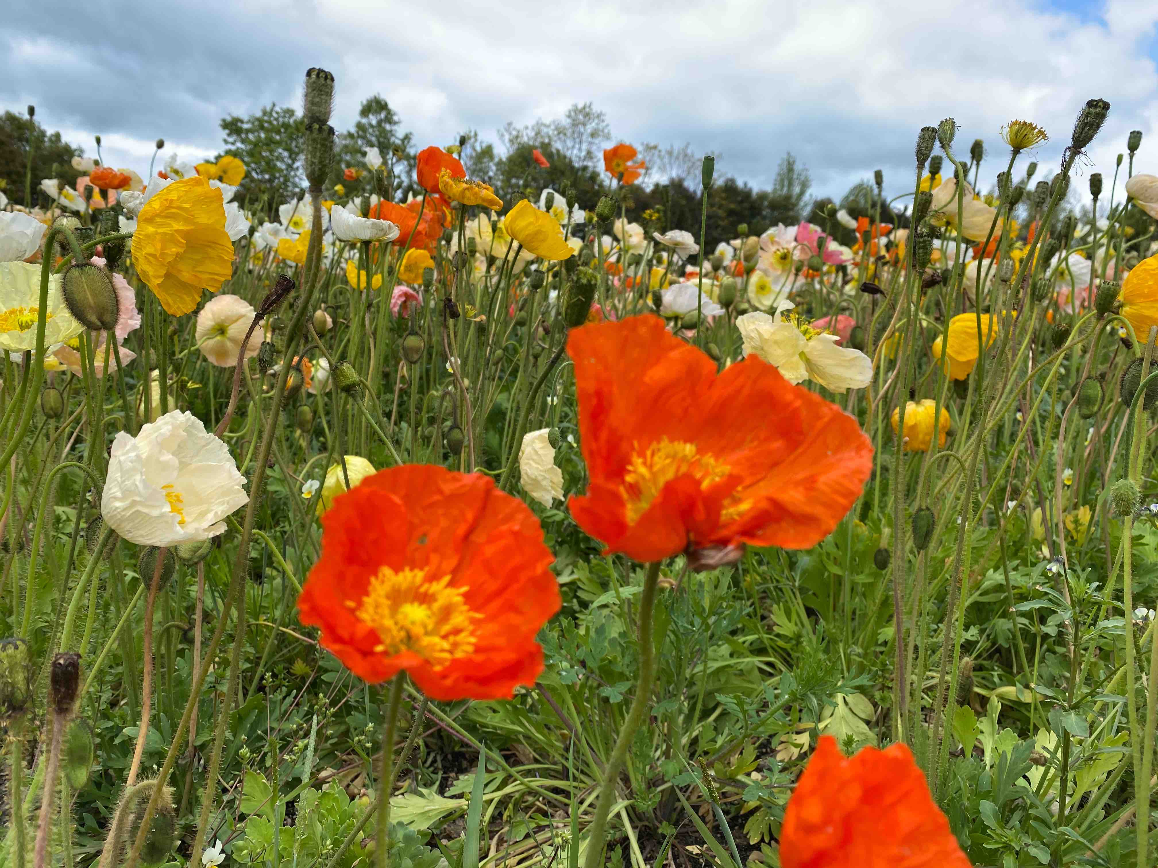 夢の中で若返る彼と私。 光と影の空間の中で。
