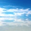 夢羽のサムネイル
