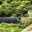 iwashiのサムネイル