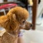 summerのサムネイル