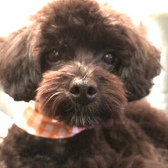 GOgo_55のプロフィール